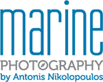 Marine Photography