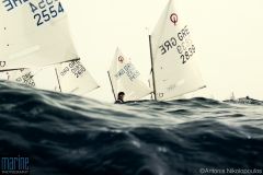 sailing_optimist_race