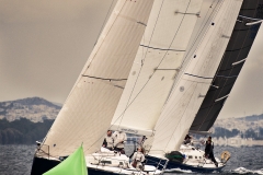 sailing_race_417_5542_square