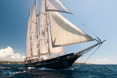 spetses_classic_sailing_race_nikolopoulos_2236