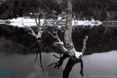 nikolopoulos_lake_greece_416_6395